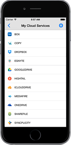 Dropbox OneDrive Box Google Drive iCloud Drive ShareFile Egnyte Hightail Syncplicity Copy MediaFire SugarSync